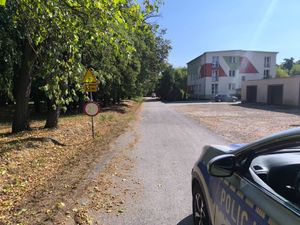 policjanci podczas lustracji